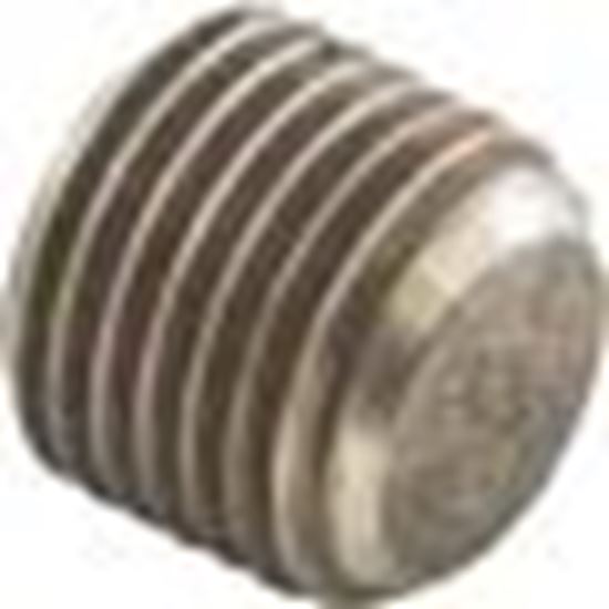 Picture of Header Plug, Raypak, 55B 501329