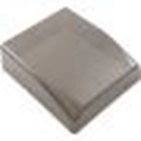 Picture of Controller Cover, Raypak Protege RPVSP1 018237F