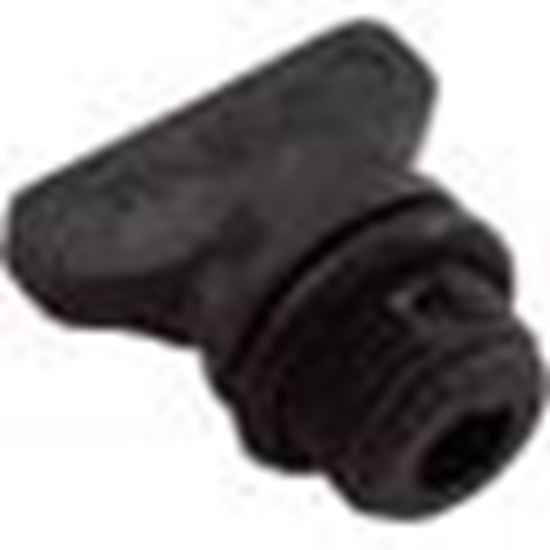 Picture of Drain Plug, Raypak Protege RPVSP1, With O-Ring 018231F