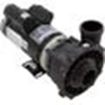 Picture of Pump WW Exec 4.5SPL 230v 2-Spd 48fr 2" OEM 3421821-1A