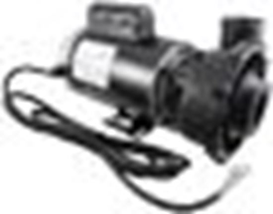 Picture of Pump WW Executive 4.0hp 230V 2-Spd 56Fr 2-1/2" 8ft Cord ME-40226-25