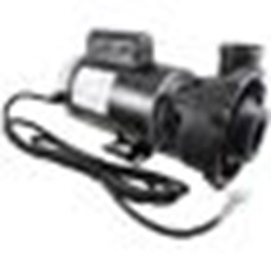 Picture of Pump WW Executive 3.0hp 230V 2-Spd 56Fr 2-1/2" 8ft Cord ME-30226-25