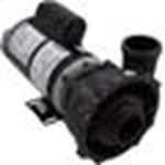 Picture of Pump WW Exec 3.0SPL 230v 2-Spd 48fr 2" OEM 3421221-1A