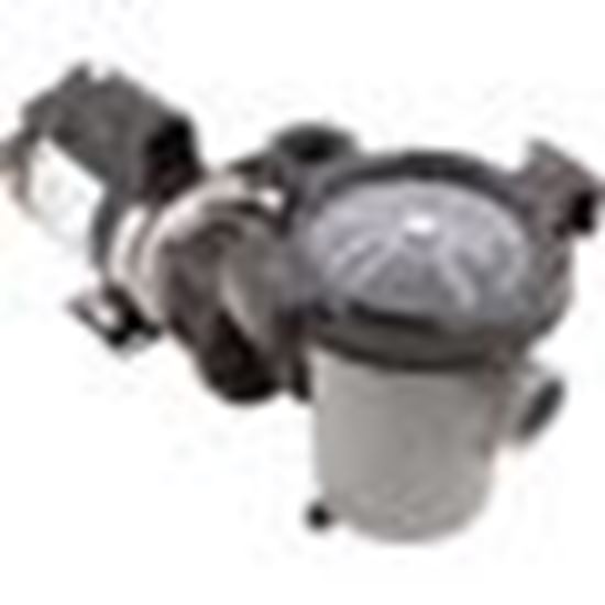 Picture of Pump WW Hi-Flo II 1.5SPL 1-Spd 115v 6"Trp 3ft Nema Vert SD-10-1-N