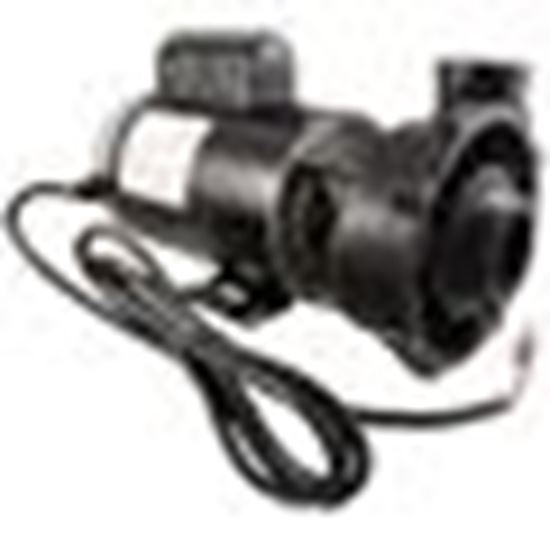 Picture of Pump WW Executive 3.0hp 230V 2-Spd 56Fr 2" 8ft Cord ME-30226-20