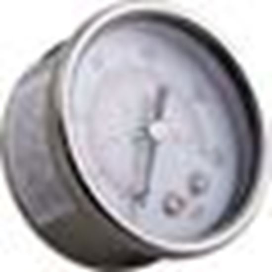 Picture of Pressure Gauge WW Clearwater II 1/4"mpt 0-60psi Back Mount 830-4000SS