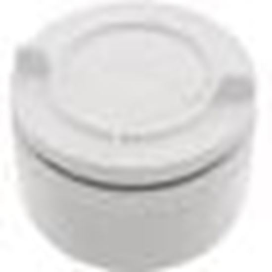Picture of Hydrostatic Relief Valve Waterway 2" mpt White 600-2140