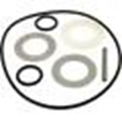 Picture of O-Ring Kit Waterway 1-1/2" Top Mount 7 Pos Valve 800-0150