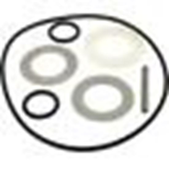 Picture of O-Ring Kit Waterway 1-1/2" Top Mount 7 Pos Valve 800-0150