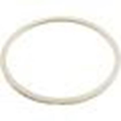 Picture of Grommet Gasket-Dyna Flo Skim Filter 711-8010