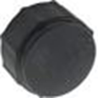 Picture of Drain Cap Waterway Pro Clean 550-0240