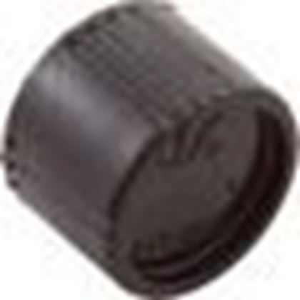 Picture of Drain Cap Assembly Waterway Pro Clean Plus 550-0260