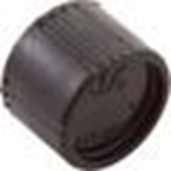 Picture of Drain Cap Assembly Waterway Pro Clean Plus 550-0260
