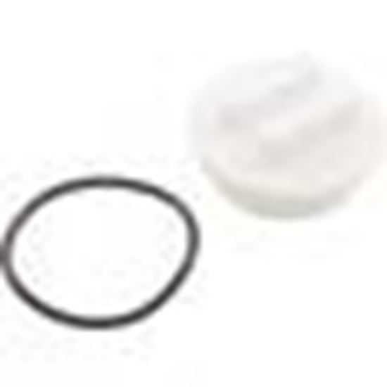 Picture of 2"N.P.T. Plug W/Oring 400-6650