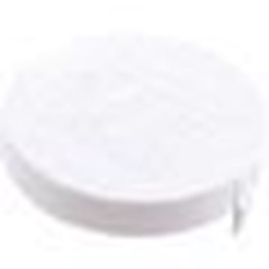 Picture of Skimmer Logo Disk Waterway Renegade 519-6460WW