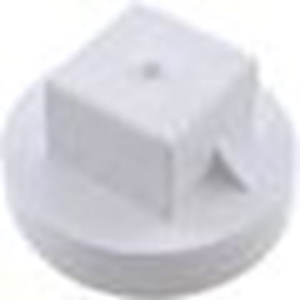 Picture of Plug Waterway 2" Male Pipe Thread 715-9910