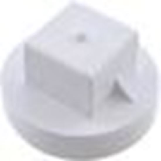 Picture of Plug Waterway 2" Male Pipe Thread 715-9910