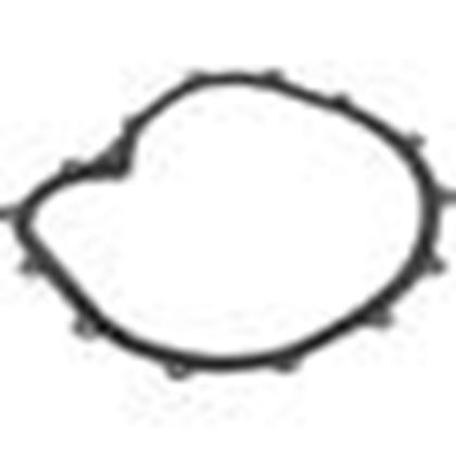 Picture of Faceplate Gasket Big Red Pump 711-2610