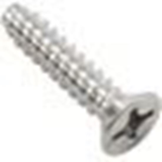 Picture of Skimmer Screw Waterway 12 x 1" 819-6940