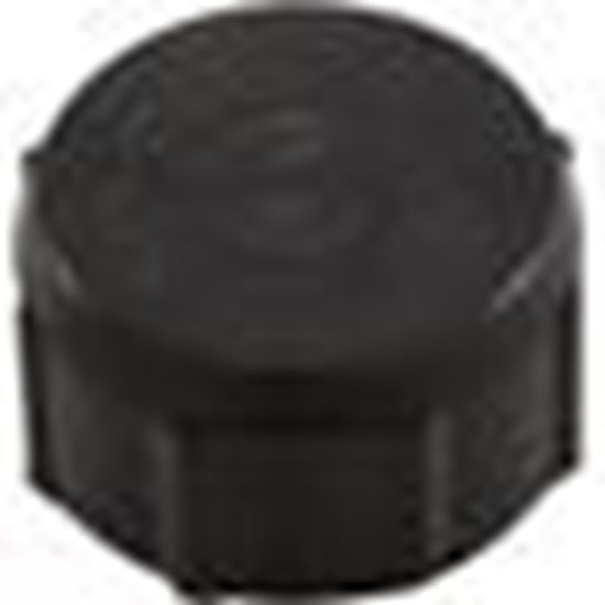 Picture of Drain Cap Waterway Filter On/Off Valve 1/2"fght Black 519-0231