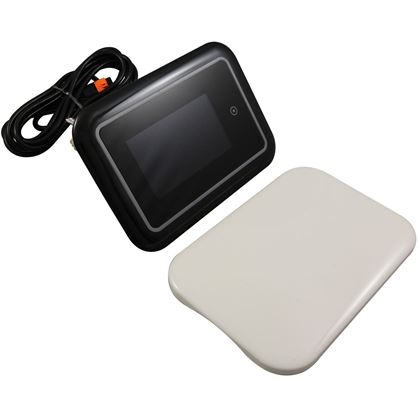 Picture of Spaside Control, Gecko, Color Keypad with Touchscreen 0607-005042